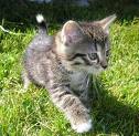images[19].jpg